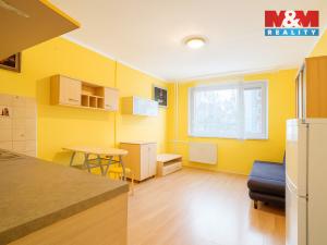 Prodej bytu 1+kk, Nová Role, Nádražní, 24 m2