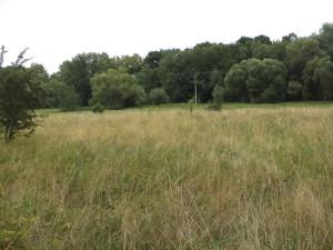 Dražba louky, Meziměstí, 28977 m2