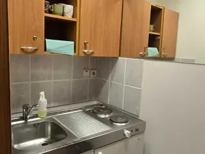 Pronájem obchodního prostoru, Vyškov, Palánek, 43 m2