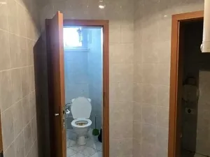 Pronájem obchodního prostoru, Vyškov, Palánek, 43 m2