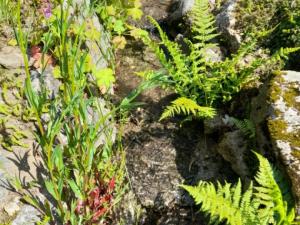 Prodej chaty, Malá Morava - Sklené, 35 m2