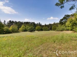 Prodej louky, Samopše, 14836 m2