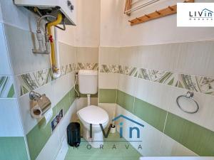 Pronájem bytu 1+1, Olomouc, Starodružiníků, 28 m2