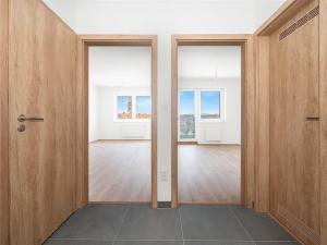 Prodej bytu 2+kk, Hustopeče, Alejní, 58 m2