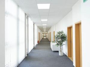 Pronájem kanceláře, Jablonec nad Nisou, Palackého, 55 m2