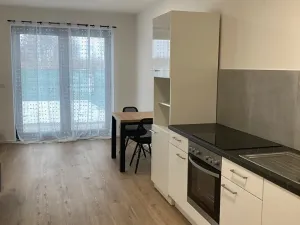 Pronájem bytu 2+kk, Hluboká nad Vltavou, Potoční, 59 m2