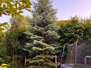 Pronájem vily, Statenice, 180 m2