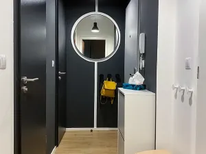 Pronájem bytu 1+kk, Brno, Spolková, 39 m2