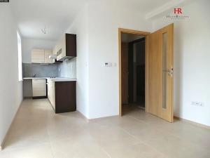 Pronájem bytu 1+kk, Týnec nad Sázavou, 25 m2