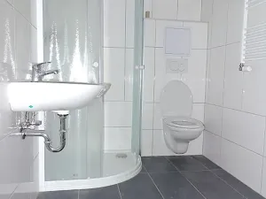 Pronájem bytu 1+kk, Týnec nad Sázavou, 25 m2