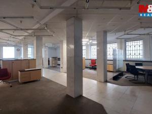 Pronájem obchodního prostoru, Ústí nad Orlicí, T. G. Masaryka, 500 m2