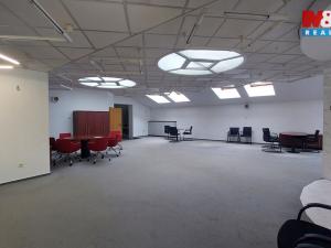 Pronájem obchodního prostoru, Ústí nad Orlicí, T. G. Masaryka, 35 m2