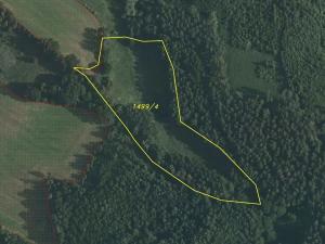 Dražba louky, Dolní Dobrouč, 71151 m2