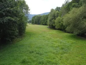 Dražba louky, Dešenice, 67850 m2