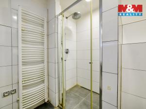 Pronájem bytu 2+1, Cheb, Družstevní, 64 m2