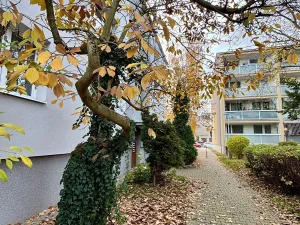 Prodej bytu 2+1, Kladno, Vašíčkova, 59 m2