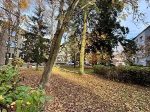 Prodej bytu 2+1, Kladno, Vašíčkova, 59 m2