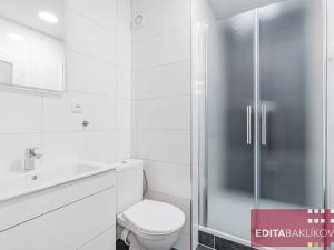 Pronájem bytu 2+1, Přerov, Pod Skalkou, 43 m2