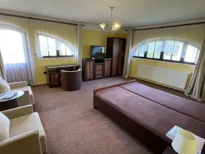 Prodej ubytování, Kynšperk nad Ohří, 650 m2