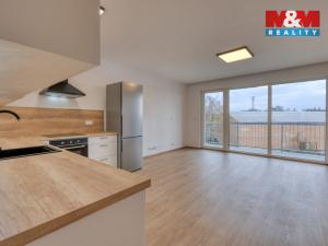 Pronájem bytu 2+kk, Dobřany, Loudů, 55 m2