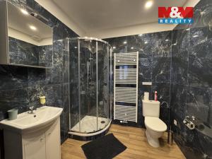 Pronájem bytu 2+kk, Příseka, 45 m2