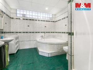 Prodej atypického bytu, Březová, Smetanova, 177 m2