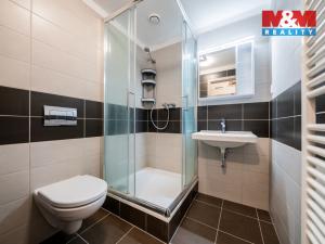 Prodej bytu 1+1, Rosice, 25 m2