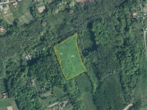 Prodej lesa, Doubrava, 16188 m2