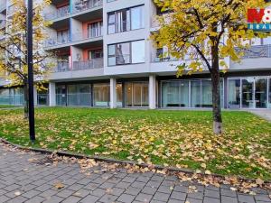 Pronájem kanceláře, Praha, Jankovcova, 58 m2