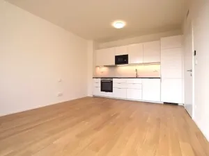 Pronájem bytu 1+kk, Praha - Lysolaje, Lysolajské údolí, 30 m2