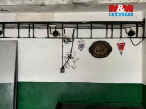 Pronájem garáže, Mladá Boleslav - Čejetice, 19 m2