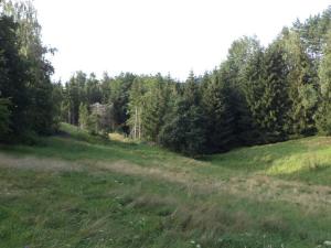 Prodej pole, Dolní Dobrouč - Horní Dobrouč, 71151 m2