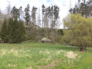 Prodej pozemku, Dešná - Dančovice, 4036 m2