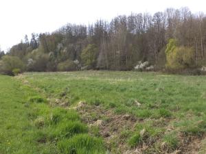 Prodej pozemku, Dešná - Dančovice, 4036 m2