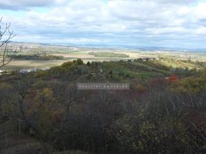 Prodej zahrady, Židlochovice, 2384 m2