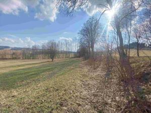 Prodej pole, Bartošovice v Orlických horách, 5738 m2