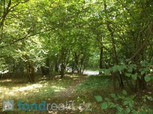 Prodej pozemku, Kaplice - Blansko, 19480 m2