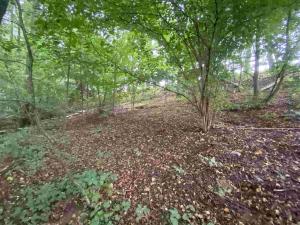 Prodej pozemku, Helvíkovice, 1994 m2