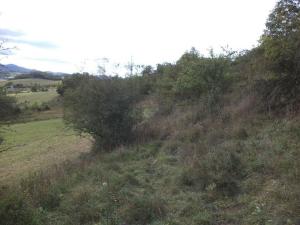 Prodej pole, Řehlovice - Stadice, 22441 m2