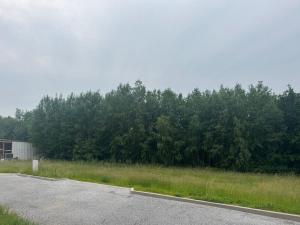 Prodej pozemku, Slavče - Dobrkovská Lhotka, 937 m2