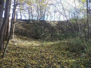 Prodej pozemku, Římov - Dolní Stropnice, 2102 m2