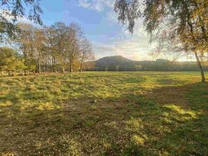 Prodej pole, Cvikov - Trávník, 16894 m2