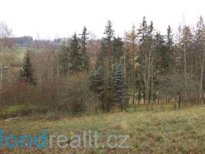 Prodej pole, Zdíkov - Branišov, 20225 m2