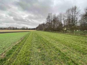 Prodej pole, Oráčov, 19275 m2