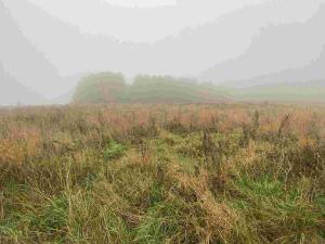 Prodej pole, Verneřice, 22839 m2