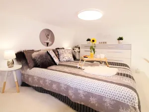 Pronájem bytu 1+1, Praha - Karlín, Vítkova, 43 m2