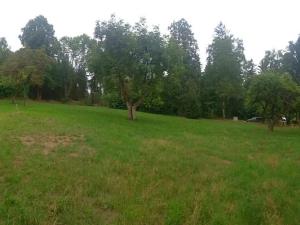 Pronájem komerčního pozemku, Kublov, 2826 m2