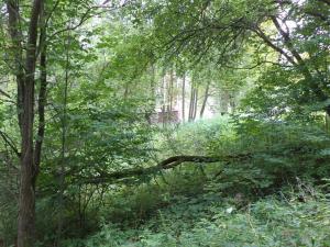 Prodej pozemku, Aš, 1755 m2