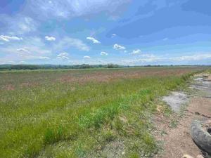 Prodej pozemku, Kravaře, 2873 m2