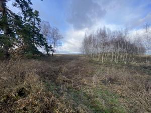 Prodej pozemku, Kaplice - Pořešín, 11526 m2